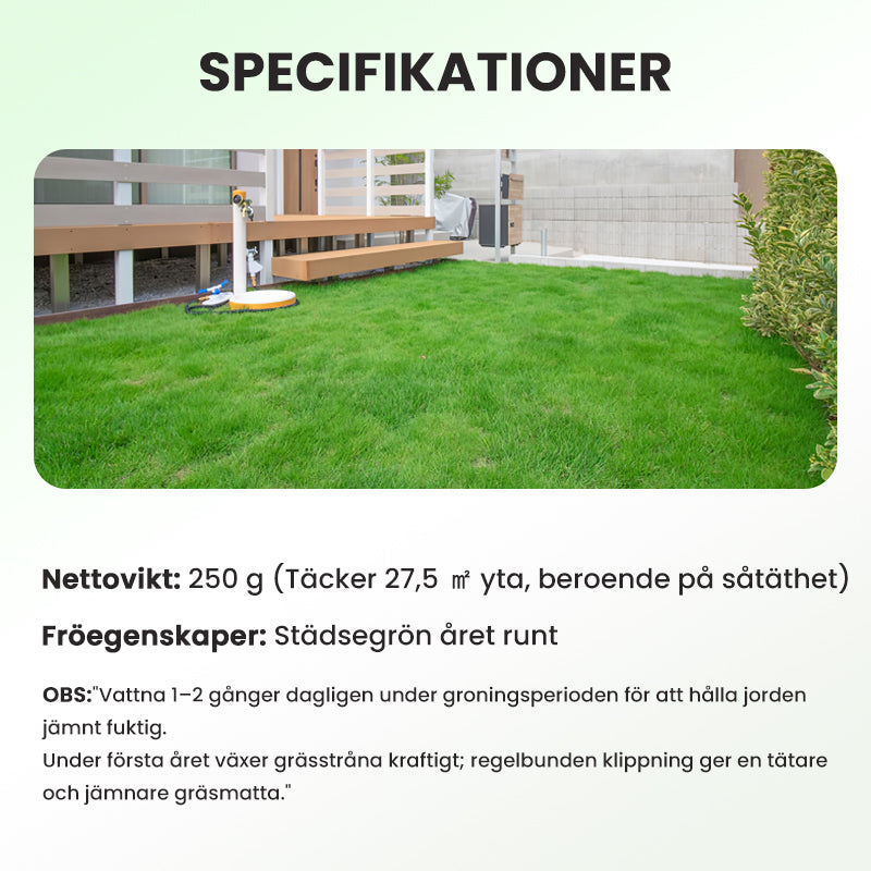 Gräsfrön för gräsmatta och golfbana